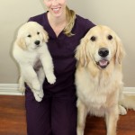 Dr. Larson with Watson and Bob