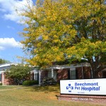 BPH building