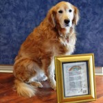 Cooper Furry Staff
