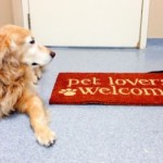 Cooper_and_cat_welcome_mat