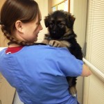 Dr. Jennifer Millette at Beechmont Pet Hospital with puppy