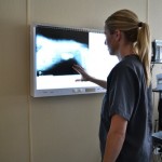 Dr. Katie Larson looking at an XRAY at Beechmont Pet Hospital