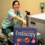 Dr. Meredith Ohlin Meyer doing an endoscopy procedure at Beechmont Pet Hospital