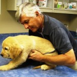 Dr. Smith doing an exam on puppy.