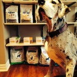 Gracie and online store photo (1)