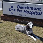 Gracie in front of BPH sign