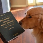 Watson Furry Staff