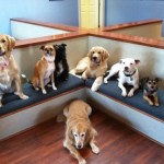 Website Photo for Banner Page