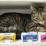 Whomp on the pharmacy for fully stocked paharmacy at Beechmont Pet Hospital