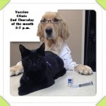 watson_and_birdie_vaccine_clinic_web