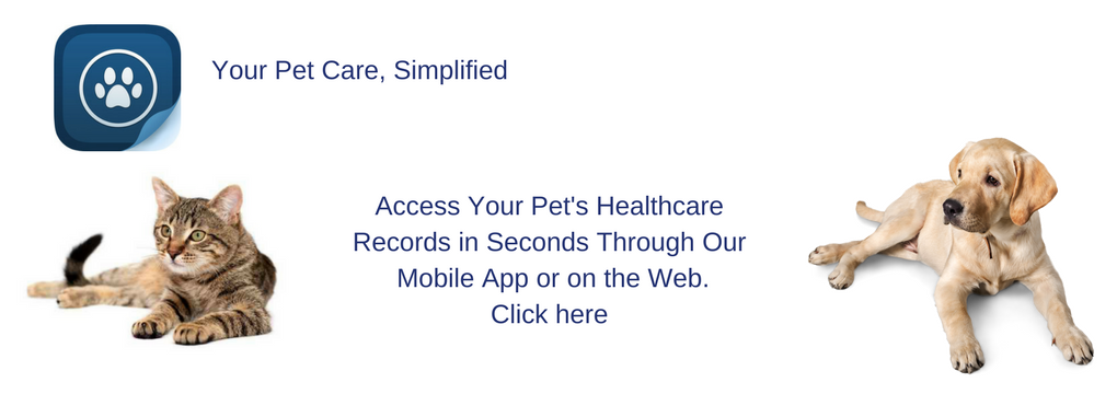 Access Healthcare Records in Seconds.