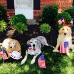website Memorial Day
