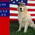 NEWEST JULY 3RD