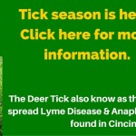 Tick season is here banner for website. beechmontpethospital.com blog post