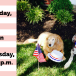 4thofjuly