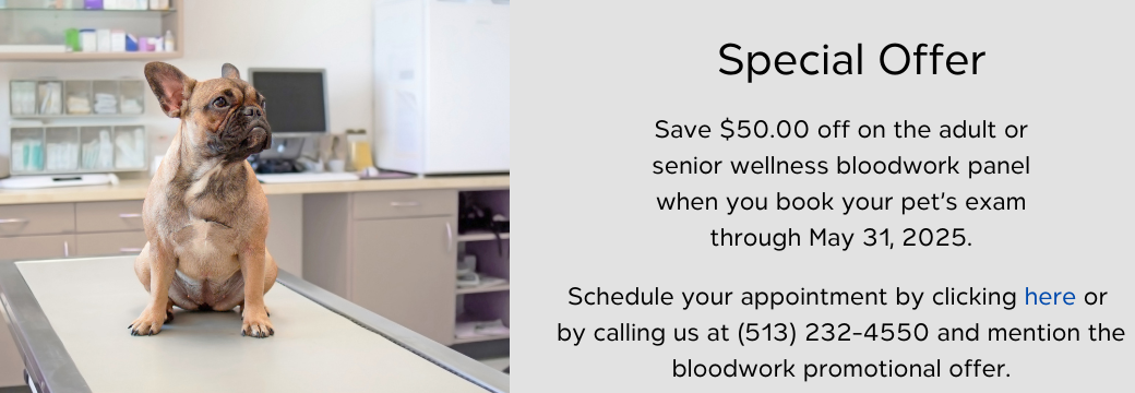 Click Here to schedule an appointment